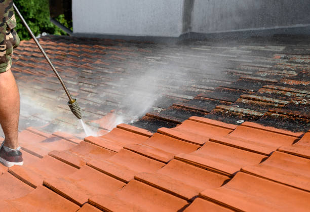 Best Pressure Washing Company Near Me  in Grangeville, ID